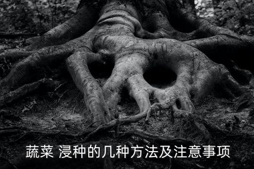  蔬菜 浸種的幾種方法及注意事項(xiàng)
