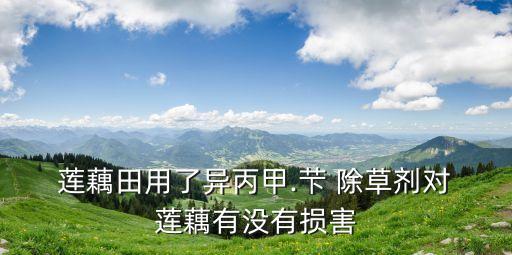  蓮藕田用了異丙甲.芐 除草劑對 蓮藕有沒有損害