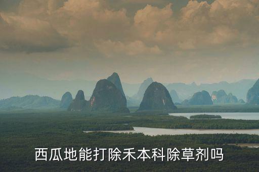 打瓜打什么農藥,打瓜有什么營養價值