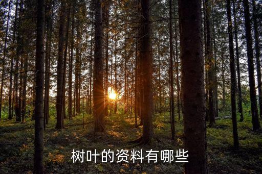 樹葉的資料有哪些