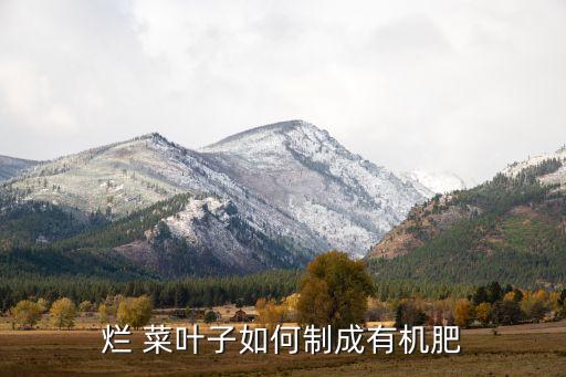 爛 菜葉子如何制成有機肥