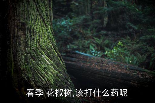 春季 花椒樹,該打什么藥呢