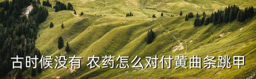 古時候沒有 農藥怎么對付黃曲條跳甲