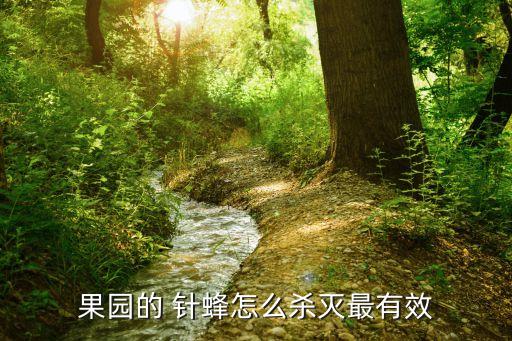 果園的 針蜂怎么殺滅最有效