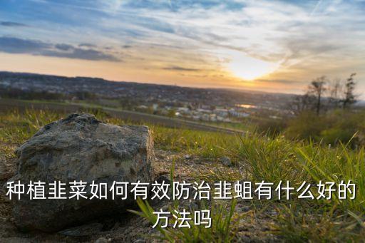 用什么農藥治韭蛆,3911農藥主要治什么