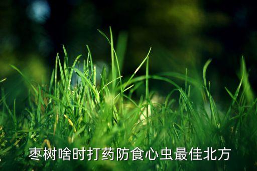 棗樹上打什么農(nóng)藥,棗樹用什么農(nóng)藥最佳
