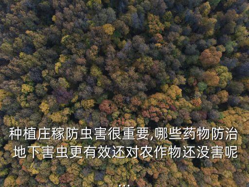 用什么農藥消滅地下蟲,什么農藥殺地下蟲最好