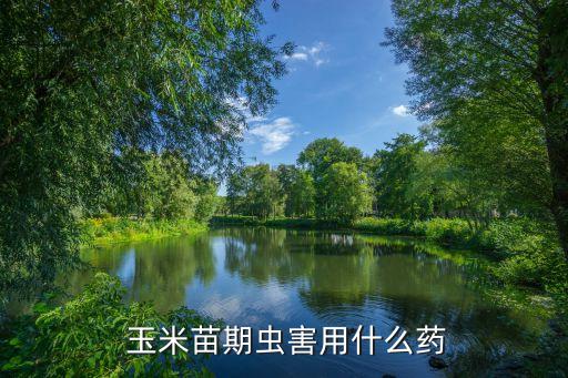  玉米苗期蟲害用什么藥