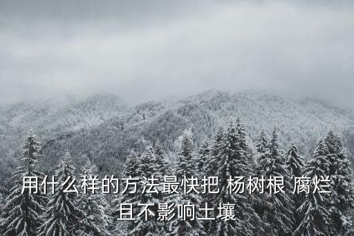 楊樹(shù)腐爛病用什么農(nóng)藥,什么農(nóng)藥能殺死楊樹(shù)
