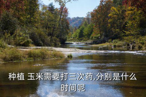 玉米這個時節打什么農藥,四川種玉米在什么時節