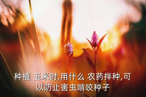 玉米早期噴什么農(nóng)藥能防病,玉米種下后需要噴什么農(nóng)藥