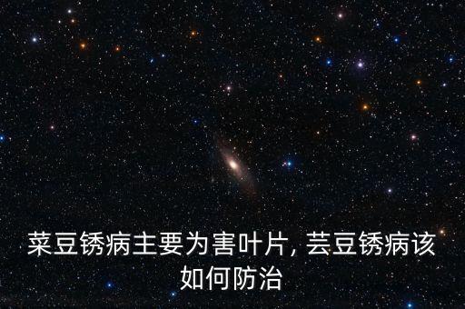 菜豆銹病主要為害葉片, 蕓豆銹病該如何防治