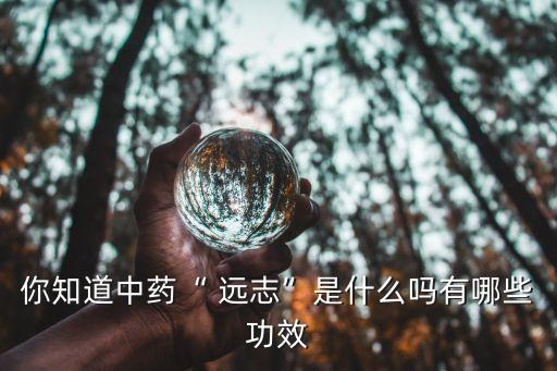 遠志藥材干枯打什么農藥,遠志能用什么藥材代替