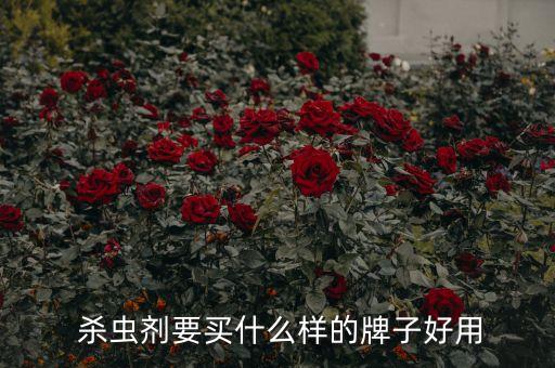 用什么農藥能殺蟲,蔬菜打什么農藥殺蟲