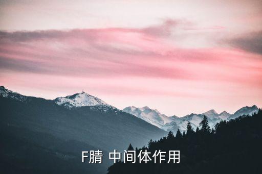 F腈 中間體作用