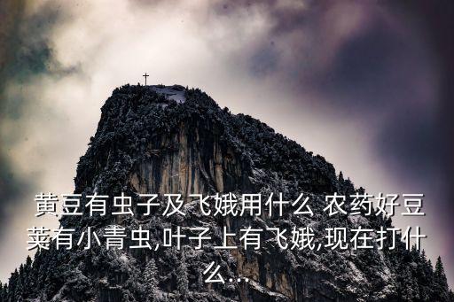 摘黃豆用什么農藥好使些,黃豆要打什么農藥