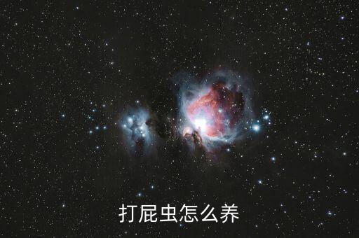打屁蟲怎么養