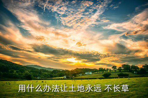 什么農藥打上幾年不長草