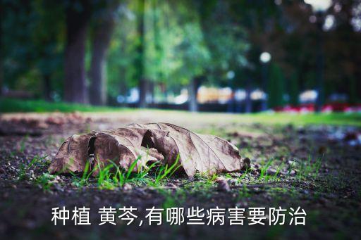 黃芩地除草用什么農(nóng)藥,荒山除草用什么農(nóng)藥好?