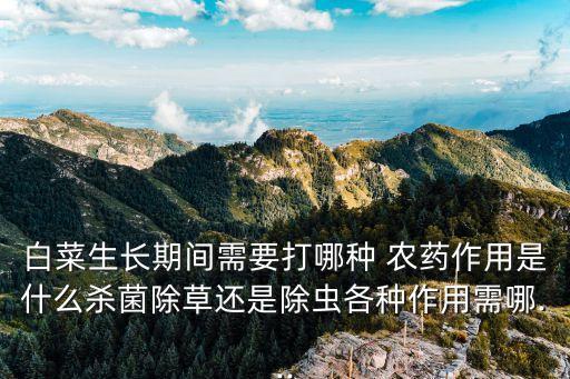 白菜生長(zhǎng)期間需要打哪種 農(nóng)藥作用是什么殺菌除草還是除蟲各種作用需哪...