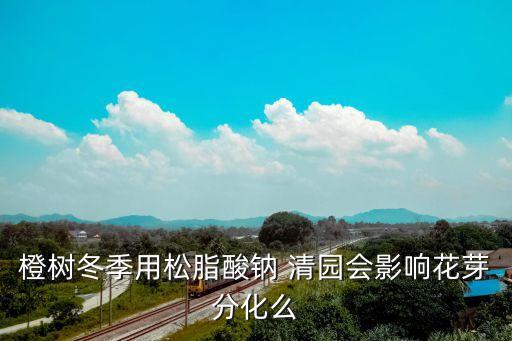橙樹冬季用松脂酸鈉 清園會(huì)影響花芽分化么