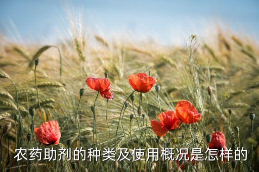 打農(nóng)藥加什么滲透劑,BBU農(nóng)藥增效滲透劑