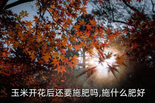 玉米花期后噴什么農藥合適