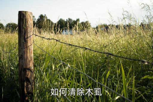 如何清除木虱