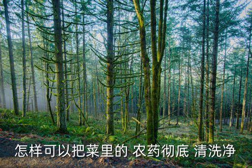 菜葉上有農藥用什么清洗