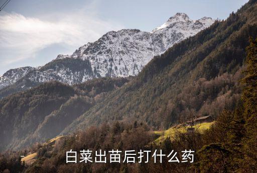 白菜澆什么農藥,白菜上有蟲用什么農藥效果好
