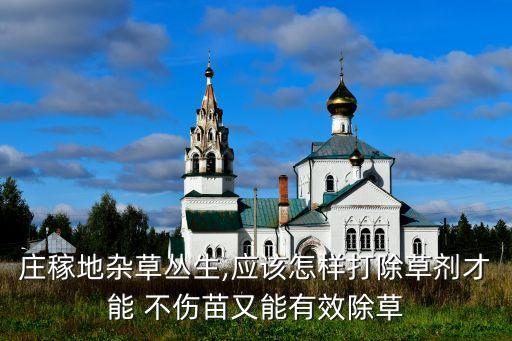 什么農藥不傷草坪根,草坪地下蟲用什么農藥