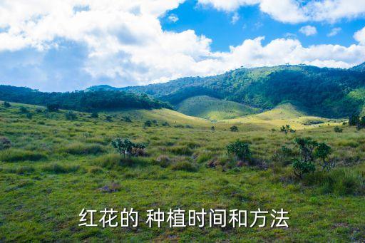  紅花的 種植時間和方法