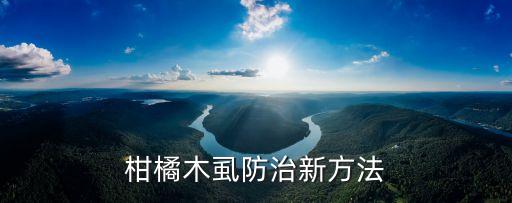 殺木虱農藥是什么,柑橘木虱的主要危害是什么