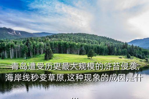 青島有什么農藥廠子,青島什么地方廠子比較多