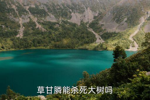 草甘膦能殺死大樹(shù)嗎