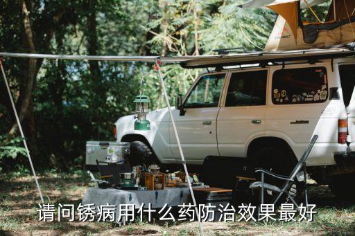 玉米鐵銹用什么農藥,什么農藥能讓玉米不結棒