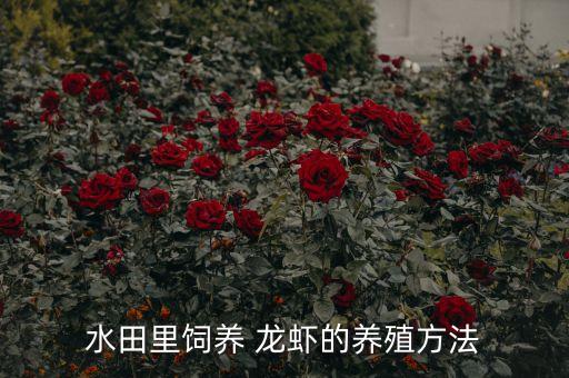 養(yǎng)龍蝦用什么農(nóng)藥好