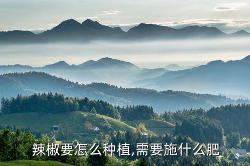 辣椒小苗打什么農藥,辣椒殺蟲用什么農藥