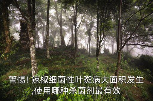 警惕! 辣椒細菌性葉斑病大面積發生,使用哪種殺菌劑最有效