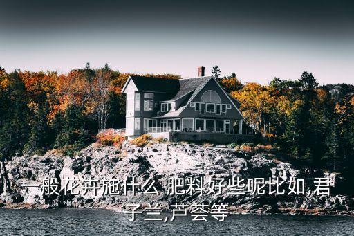 一般花卉施什么 肥料好些呢比如,君子蘭,蘆薈等