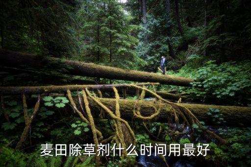 什么農(nóng)藥專治水稗草,專治稗草的農(nóng)藥