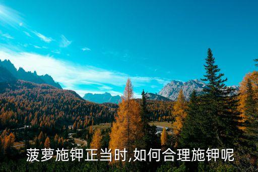  菠蘿施鉀正當(dāng)時(shí),如何合理施鉀呢