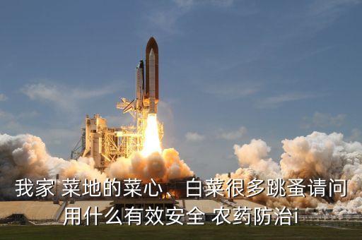 我家 菜地的菜心、白菜很多跳蚤請問用什么有效安全 農藥防治i