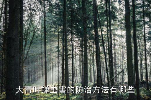 大青葉蟬蟲害的防治方法有哪些