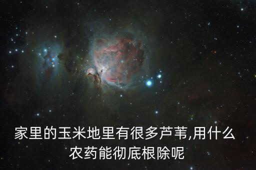 用什么農藥可以除根,什么農藥除草又除根