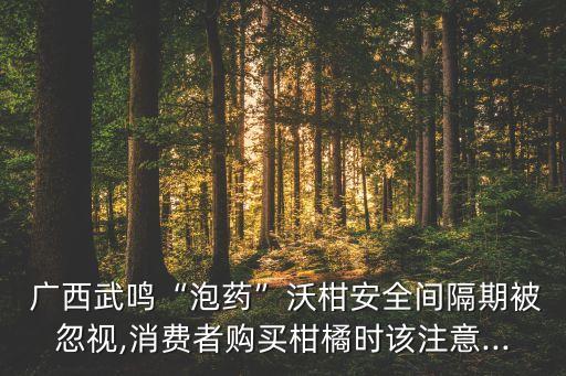  廣西武鳴“泡藥”沃柑安全間隔期被忽視,消費者購買柑橘時該注意...