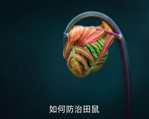 農村用什么農藥防鼠,在農村開農藥店需要什么條件