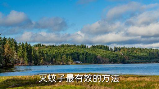 蚊蟲用什么農藥打藥最好