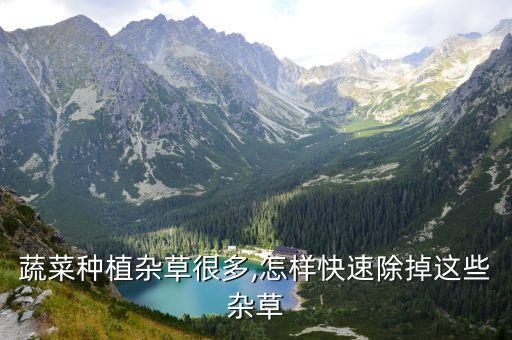 蔬菜種植雜草很多,怎樣快速除掉這些雜草