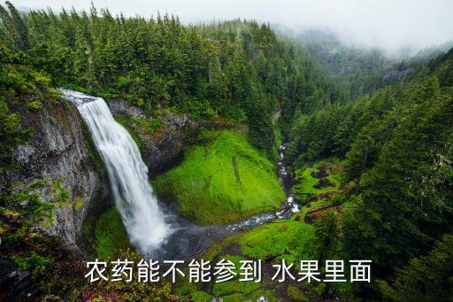 什么水果可以加農藥吃,水果的農藥用什么清洗